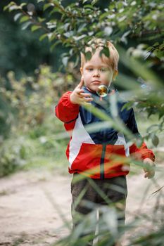 The little boy plays with soap bubbles in nature, the child tries to catch a colorful soap bubble by hand.