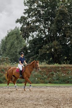 A young girl rides on a brown horse in a stud farm sand arena against the backdrop of large green trees. Horseback riding in the ranch at leisure.