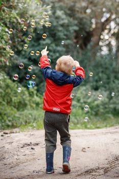 Back view of a little boy playing with soap bubbles in summer park on sunny day.