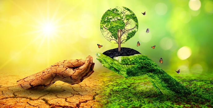 tree in two hands  with very different environments Earth Day or World Environment Day Global Warming and Pollution