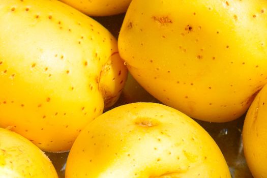Young yellow potatoes are boiled in water
