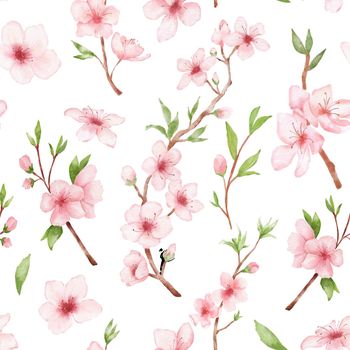 Branch of Cherry blossom watercolor seamless pattern on white. Japanese flowers. Floral pink background