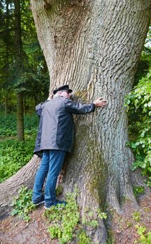 Elderly man hugging a giant oak tree in an old wood in Oldenburg, Germany (Eversten Holz). The history of this wood goes back to the 12th century