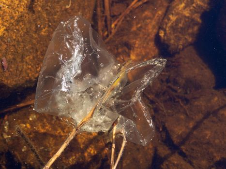 Underwater pollution: - discarded plastic bag in the river