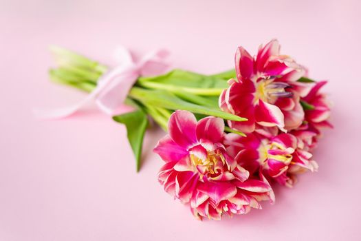 Very beautiful spring bouquet of peony tulips on a pink paper background, closeup. Place for an inscription