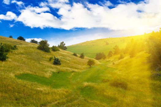 Green summer landscape background with sunshine. Green medow against blue sky with clouds.