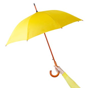 Hand holding a yellow umbrella isolated on white background