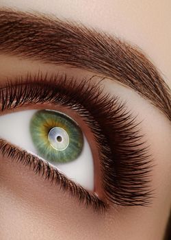 Close-up macro beautiful female eye with extreme long eyelashes, perfect shapes of eyebrows. Lash design, natural health lashes. Clean vision