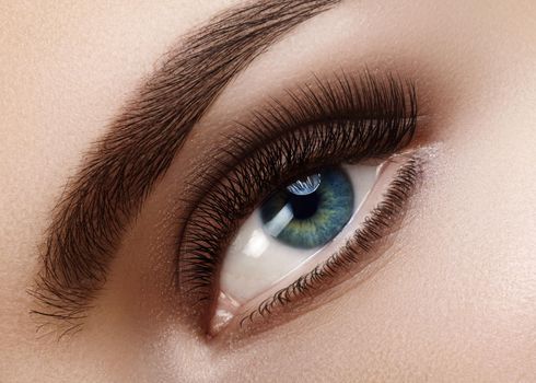 Close-up macro of beautiful female eye with perfect shape eyebrows. Clean skin, fashion naturel smoky make-up, sexy eyes. Good vision.