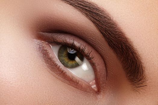 Close-up macro of beautiful female eye with perfect shape eyebrows. Clean skin, fashion naturel smoky make-up, sexy eyes. Good vision.