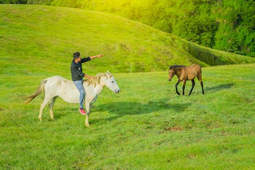 Young man in the field riding horse, A man riding horse in the field and pointing, riding a beautiful horse in the field