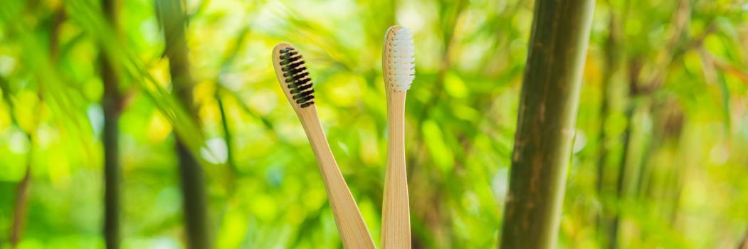 Bamboo toothbrush on a background of green growing bamboo. BANNER, LONG FORMAT