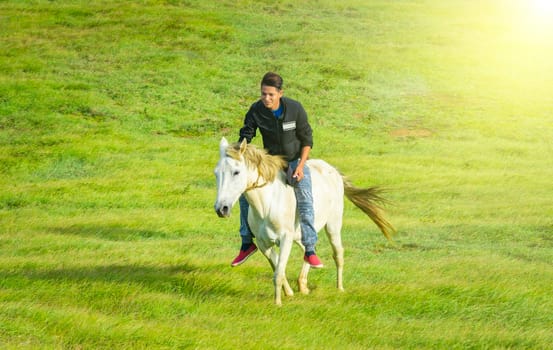 Young man in the field riding horse, A man riding horse in the field and pointing, riding a beautiful horse in the field