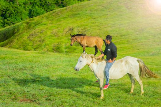 Young man in the field riding horse, A man riding horse in the field and pointing, riding a beautiful horse in the field