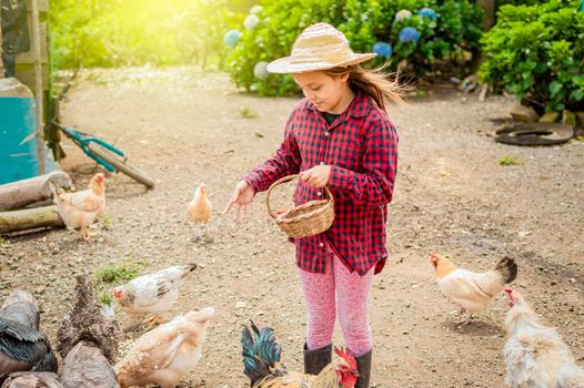 farmer girl hugging turkey, farmer girl feeding turkeys at sunset, girl feeding farm animals, farm girl and turkey