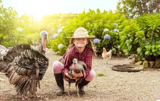 farm girl hugging turkey, farm girl holding turkeys at sunset, girl on the farm with turkeys, Caring for turkeys and domestic animals