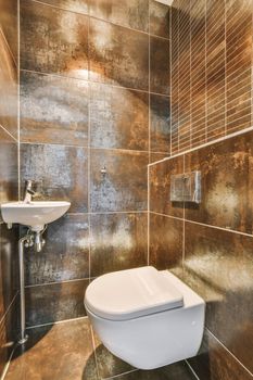 Interior of a cozy brown tiled toilet room with ceramic sink