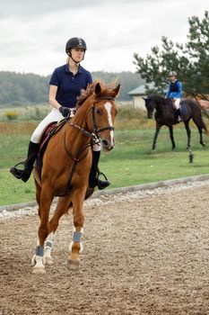 Young girl on bay horse performing her dressage test. Sport horse and rider.