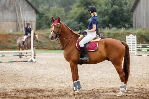 Equestrian model girl and sportive dressage horse in country stud farm. Equestrian sport concept, dressage horse.