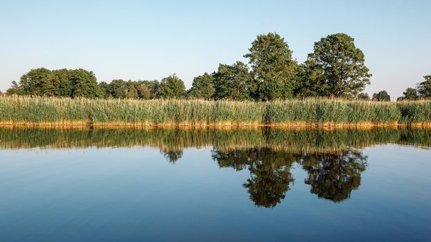 Landscape of the lagoon coast and its vegetation. Quiet evening, mirrored water and reflections of the trees in it