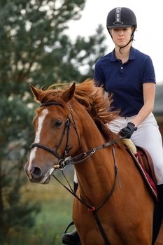 Horse riding - portrait of lovely equestrian on a horse.