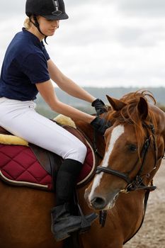 Friendly contact between a young girl rider and her pet brown horse.