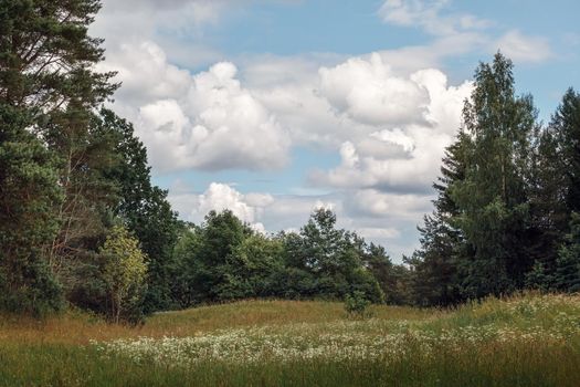 Green meadow, forest and blue sky with clouds