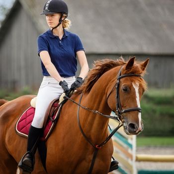 Portrait of jockey woman rider with brown horse Concept advertising equestrian club school.