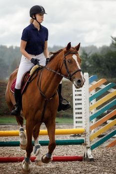 Girl with brown steed jumping over the hurdle on equine competition.