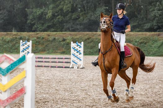 Young horse rider girl restraining a horse on show jumping course in equestrian sports competition.