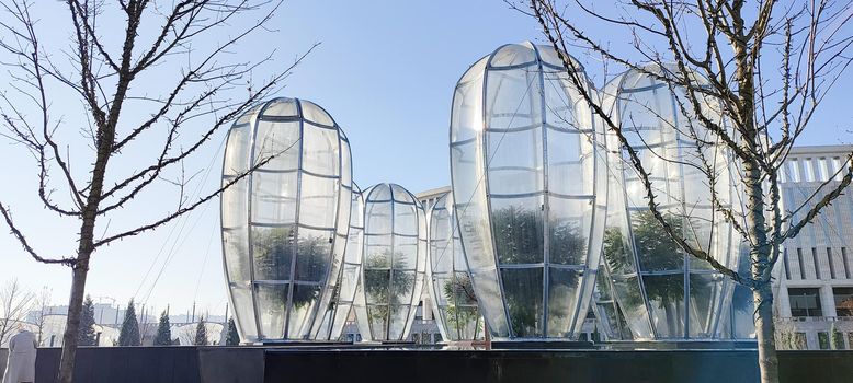 plastic greenhouse for pablic park trees, for winter season. krasnodar