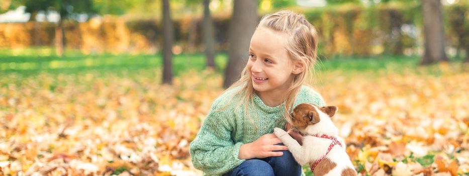 Small purebred dog with little caucasian girl playing in the autumn park.