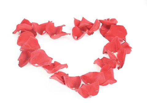 beautiful heart of red rose petals isolated on white.
