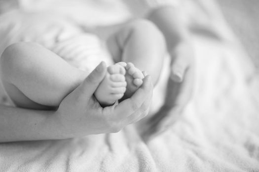 mother and newborn baby.close-up of mom's hand and foot of a newborn.photo with blank space for text