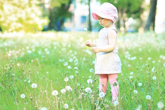 Little cute girl walking in summer Park