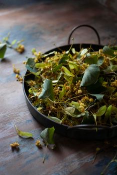 Fresh harvested flowers and leaves of linden tree in vintage metal tray. on wooden table.