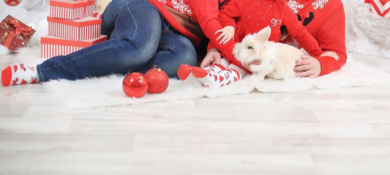 horizontal photo.close up. family with a pet rabbit sitting in the living room at Christmas