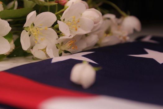 Apple blossoms close-up against the background of the US flag. The concept of Memorial Day. .