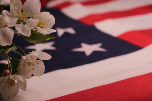 White flowers on the background of the US flag. The concept of Remembrance Day, Independence Day..