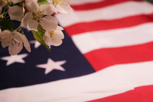 Apple blossoms and the U.S. flag. The concept of Independence Day, Remembrance Day, Elections..