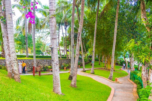 Luang Prabang Laos 17. November 2018 Natural riverview Park and jungle panorama of the landscape Mekong river and Luang Prabang city in Laos world tour in Southeast Asia.