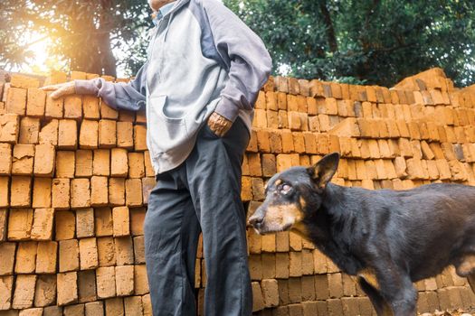 Unrecognizable elderly Latino man leaning on a pile of red mud bricks with his blind dog by his side