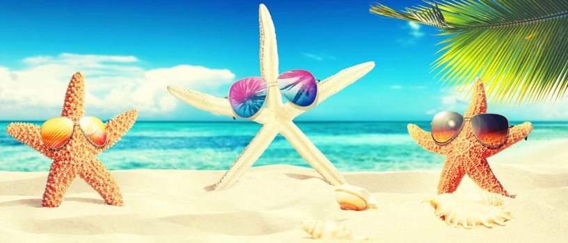 Sandy beach with beautiful starfish near sea on sunny summer day.