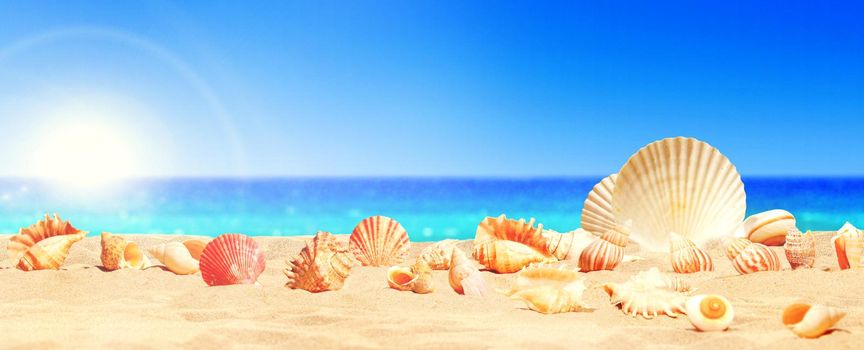 Seashells on seashore - beach holiday background.