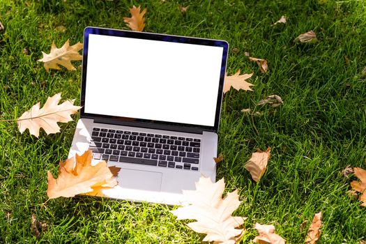 A laptop with an empty screen stands in the courtyard of a beautiful home garden, in Sunny weather