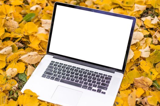 blank screen laptop computer on terrace with beautiful autumn colorful red and yellow maple leaves background, copy space for display presentation, marketing, advertisement concept.