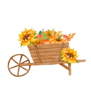 Watercolor autumn composition with sunflower, pumpkin and garden wheelbarrow. Fall season illustration isplated on white