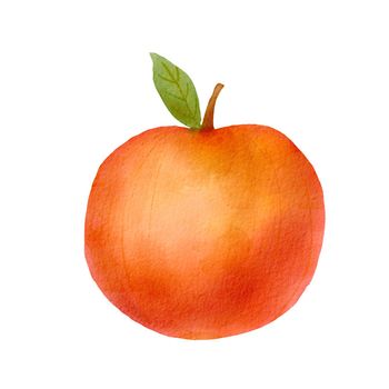 Drawing cute stylized red apple. Watercolor illustration with fresh fruit. Juicy organic food isolated on white