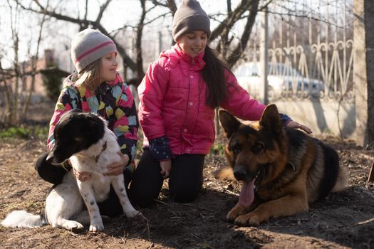 kids running with their pet German shepherd puppy in the park.