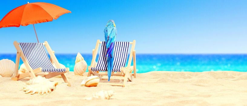 Wooden deck chairs with parrot on sandy beach near sea. Holiday background.